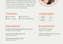 provide professional resume, cv, cover letter design